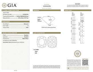 3.04 Carat GIA CUSHION Cut Diamond Engagement Ring - PLATINUM HIDDEN HALO Mounting 