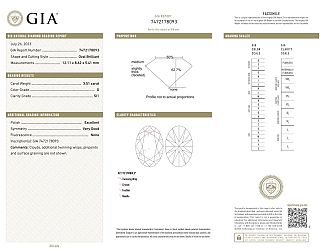 3.51 Carat BEAUTIFUL GIA OVAL Diamond Engagement Ring - Platinum and Yellow Gold 3.51 Carat BEAUTIFUL GIA OVAL Diamond Engagement Ring - Platinum and Yellow Gold