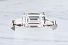 2.01 GIA Emerald Cut Diamond Ring - Platinum Tapered Baguette Mounting
