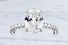 2.34 Carat OVAL Diamond Engagement Ring - Platinum 