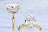 3.01 Carat GIA OVAL - Platinum and 18K Yellow Gold Engagement Ring